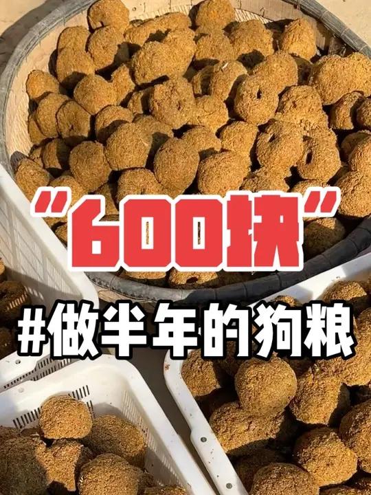 花686块给猫狗做了半年的口粮