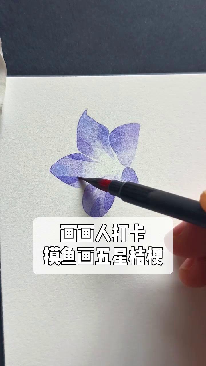 画画人打卡,摸鱼画五星桔梗