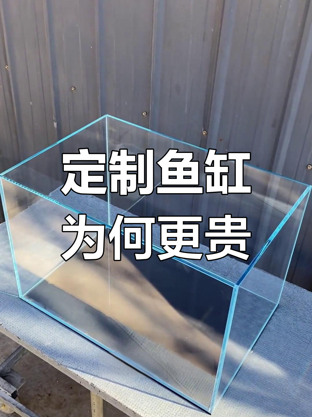 为什么定制鱼缸比标准尺寸贵?揭秘成本与价格差异