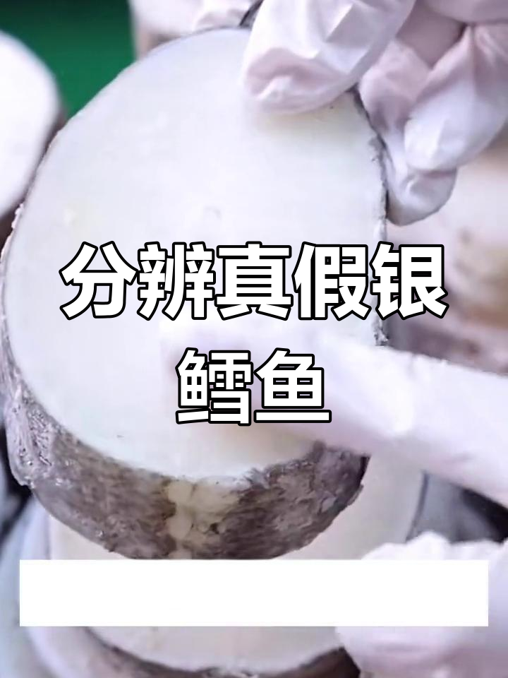 如何辨别真假银鳕鱼?价格差异大,别被骗!