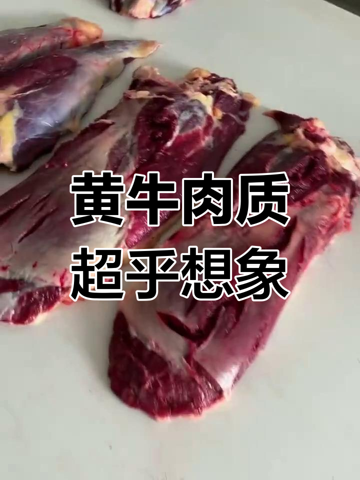 4年土黄牛,油色鲜亮如天花板级别,红烧前夹肉与腿肉的完美搭配