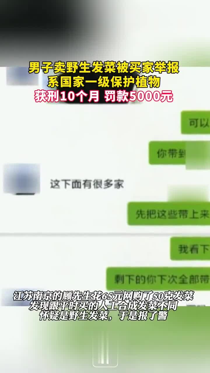 男子卖野生发菜被买家举报系国家一级保护植物获刑10个月,罚款5000元