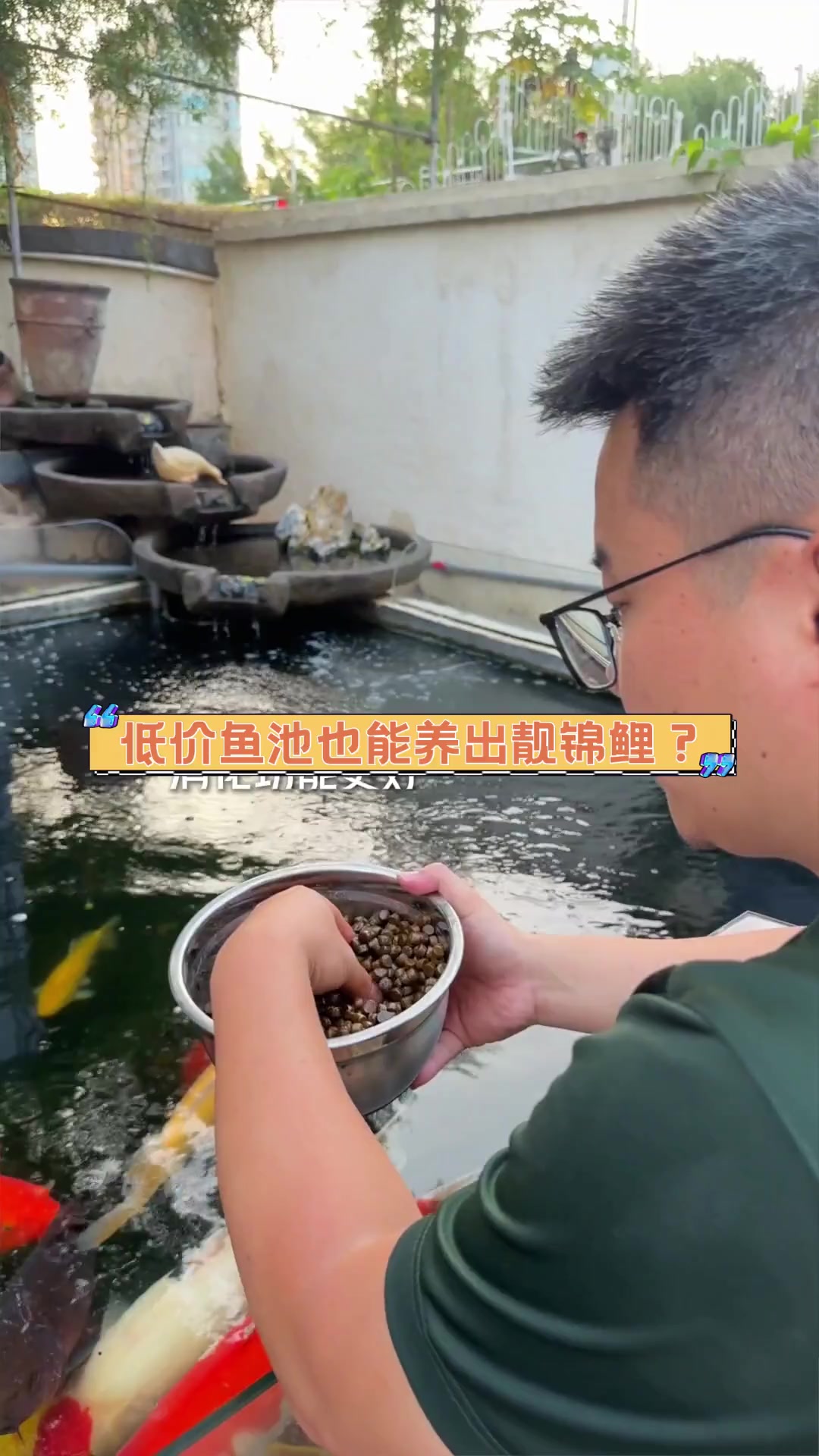 低价鱼池也能养出靓锦鲤?