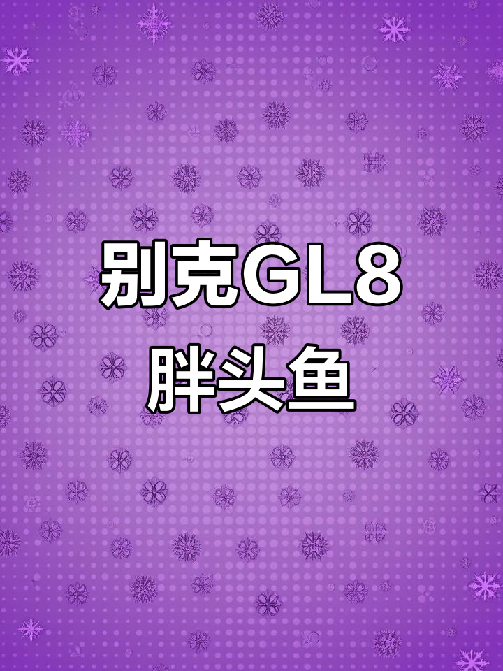 13年别克GL8胖头鱼，豪华改装商务车推荐