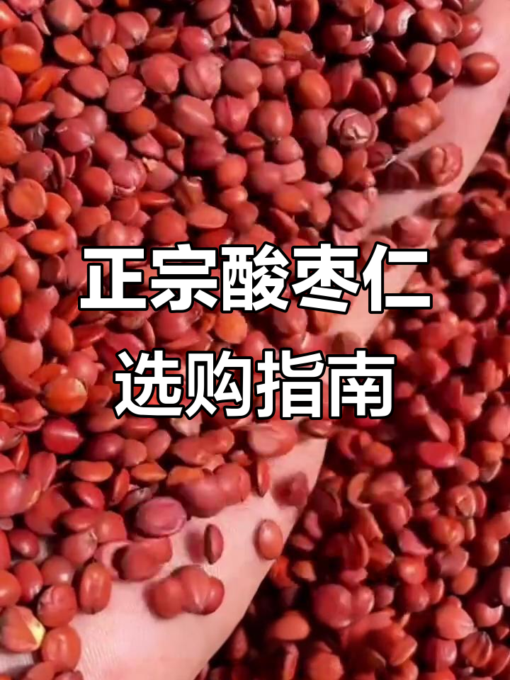 酸枣仁价格差异大,如何挑选正宗河北货?