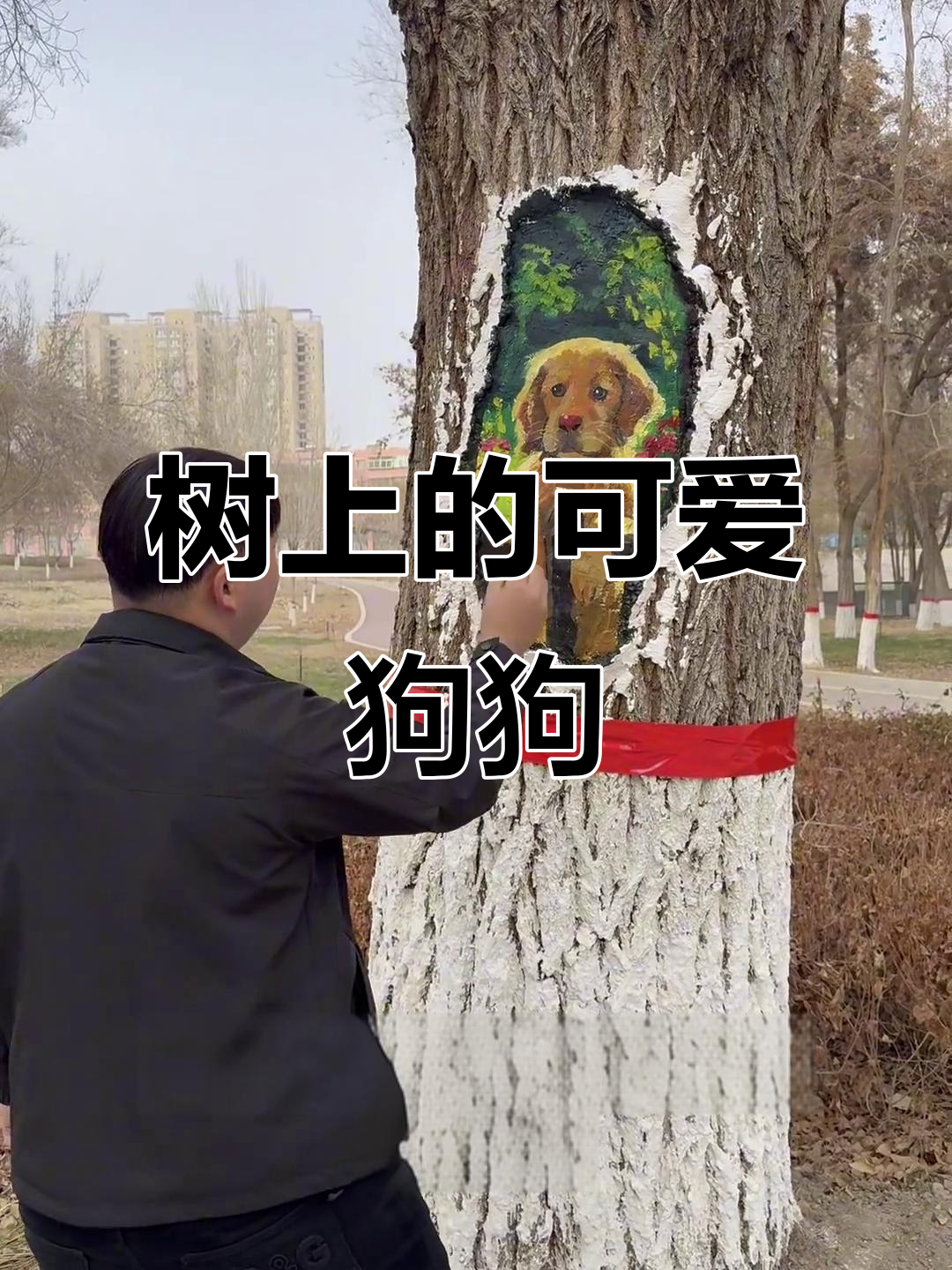在树上画小狗,陪伴我度过晚年时光
