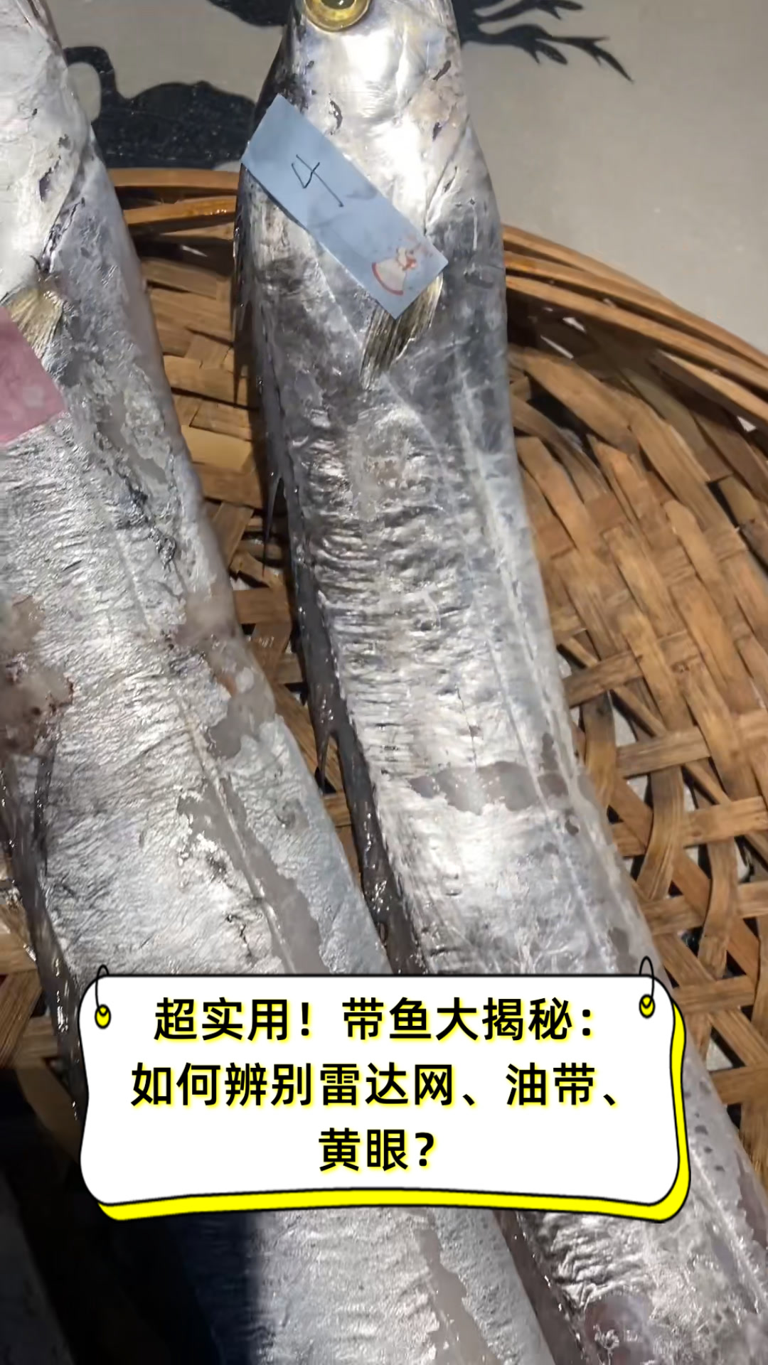 超实用!带鱼大揭秘:如何辨别雷达网、油带、黄眼?