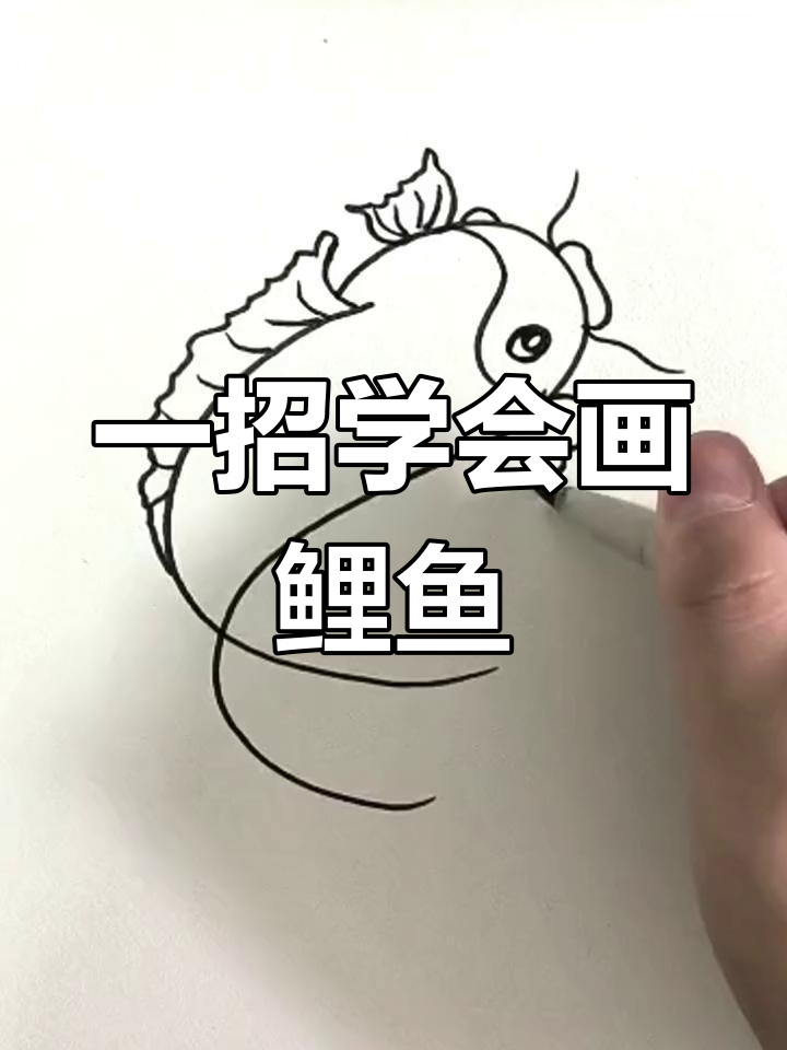 简单鲤鱼画法教程