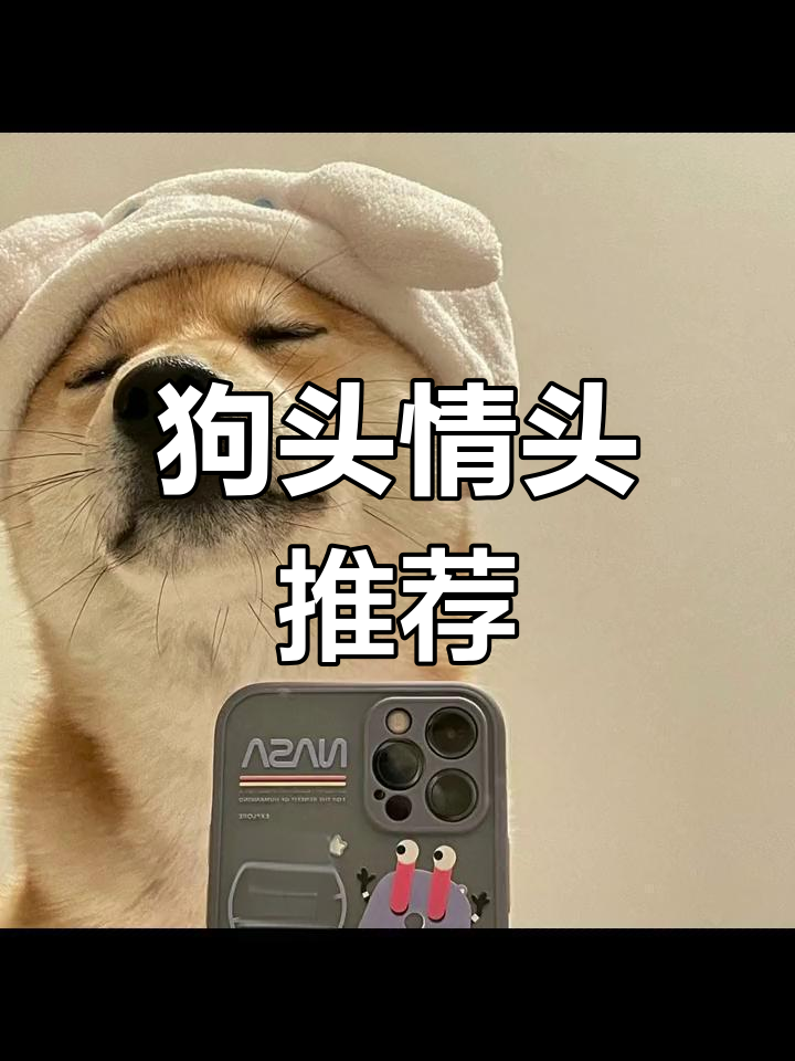 情侣必备狗头头像