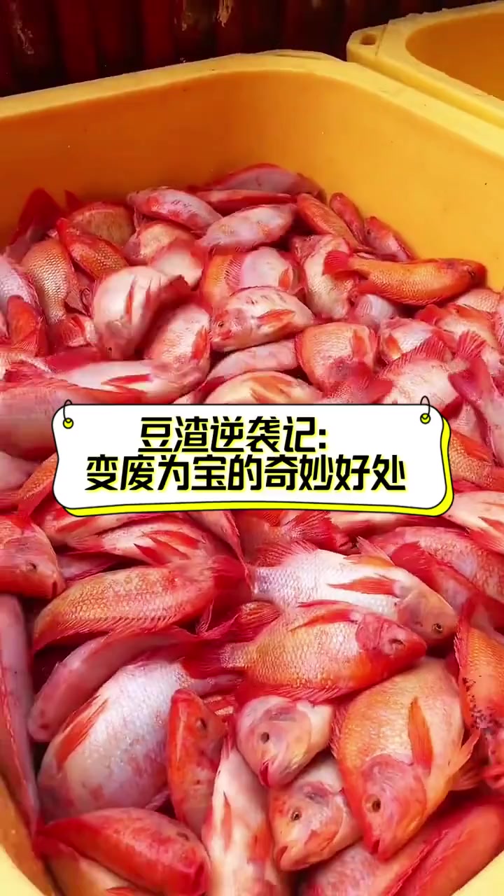 豆渣逆袭记:变废为宝的奇妙好处