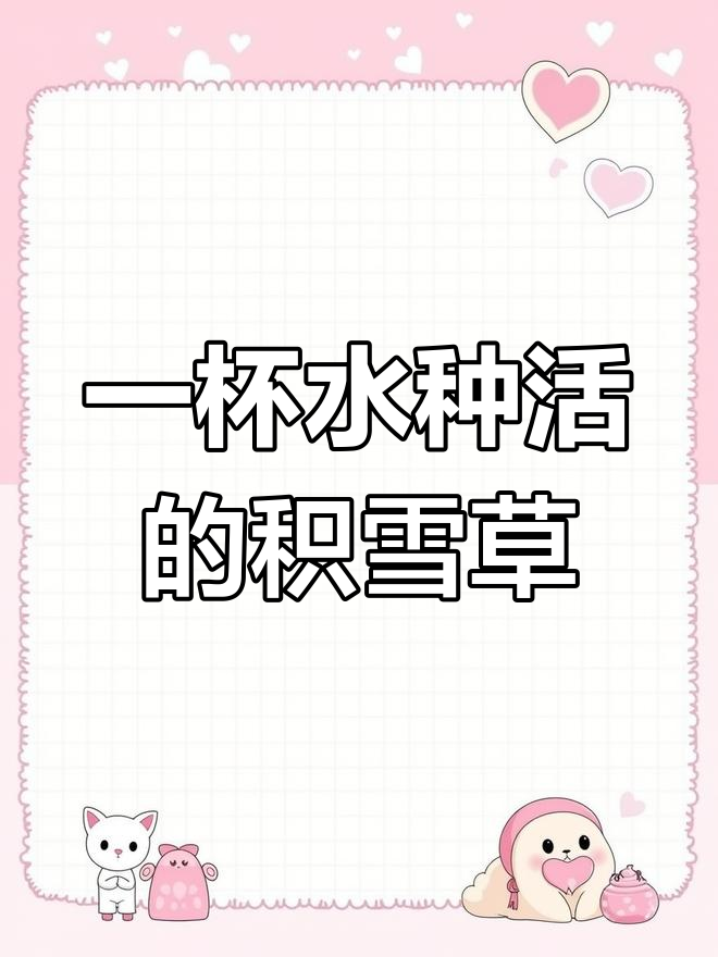 积雪草:一杯水就能种活,药食两用超神奇