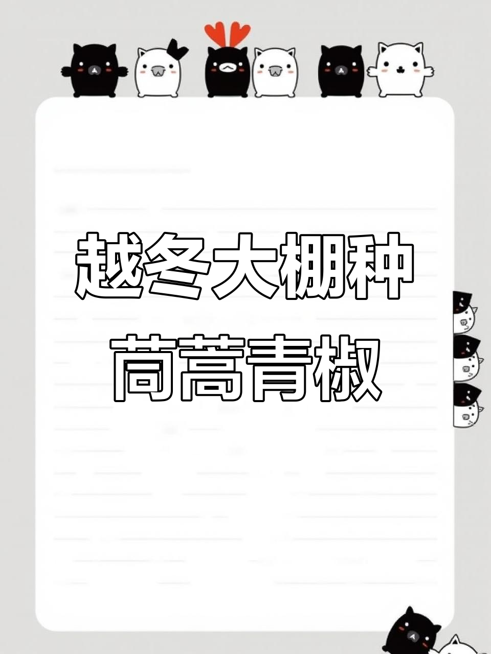 冬季大棚种植茼蒿青椒,抓住蔬菜高价期赚取丰厚利润