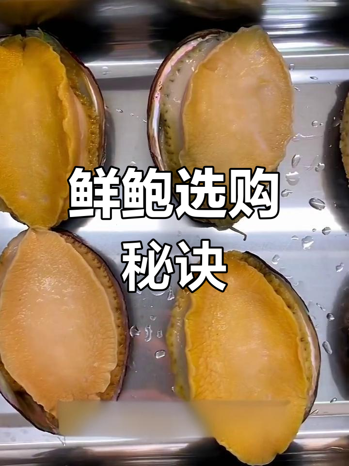 挑选鲍鱼有诀窍,饱满又弹牙!