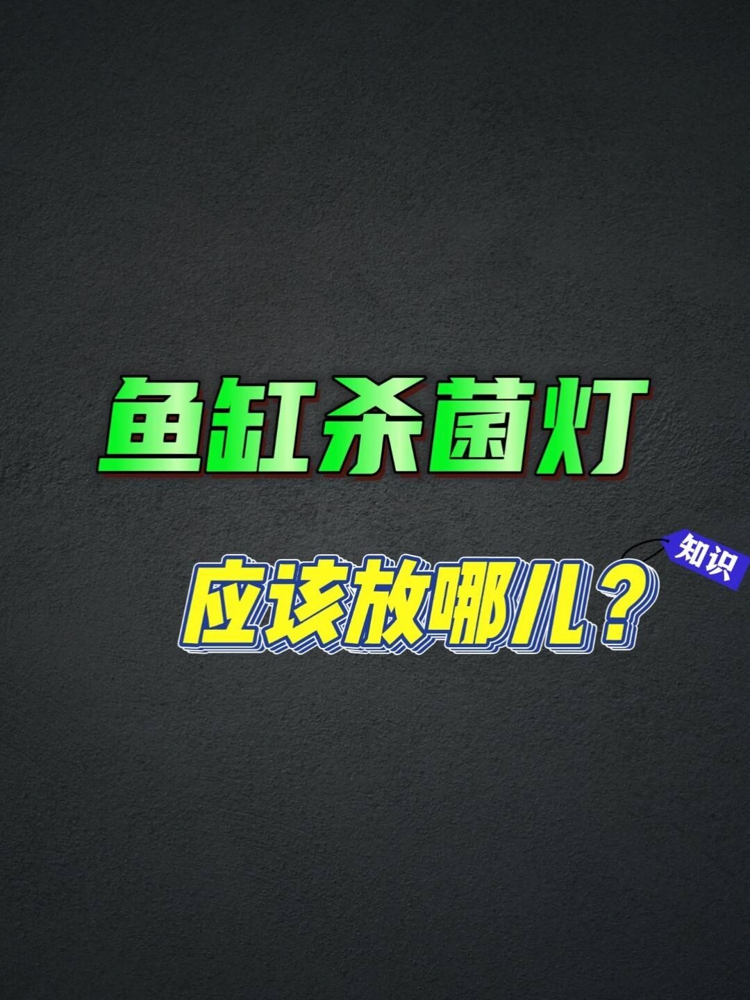 鱼缸杀菌灯千万别放在这2个位置