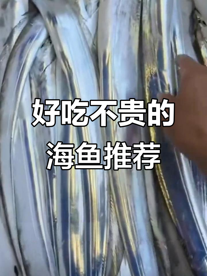 中国十大高性价比海水鱼,五十元以内就能享受美味