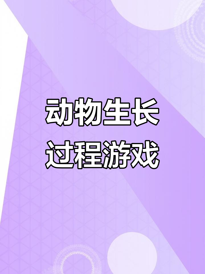 小鸡小鸭成长记：幼儿园科学区自制玩教具，激发孩子兴趣