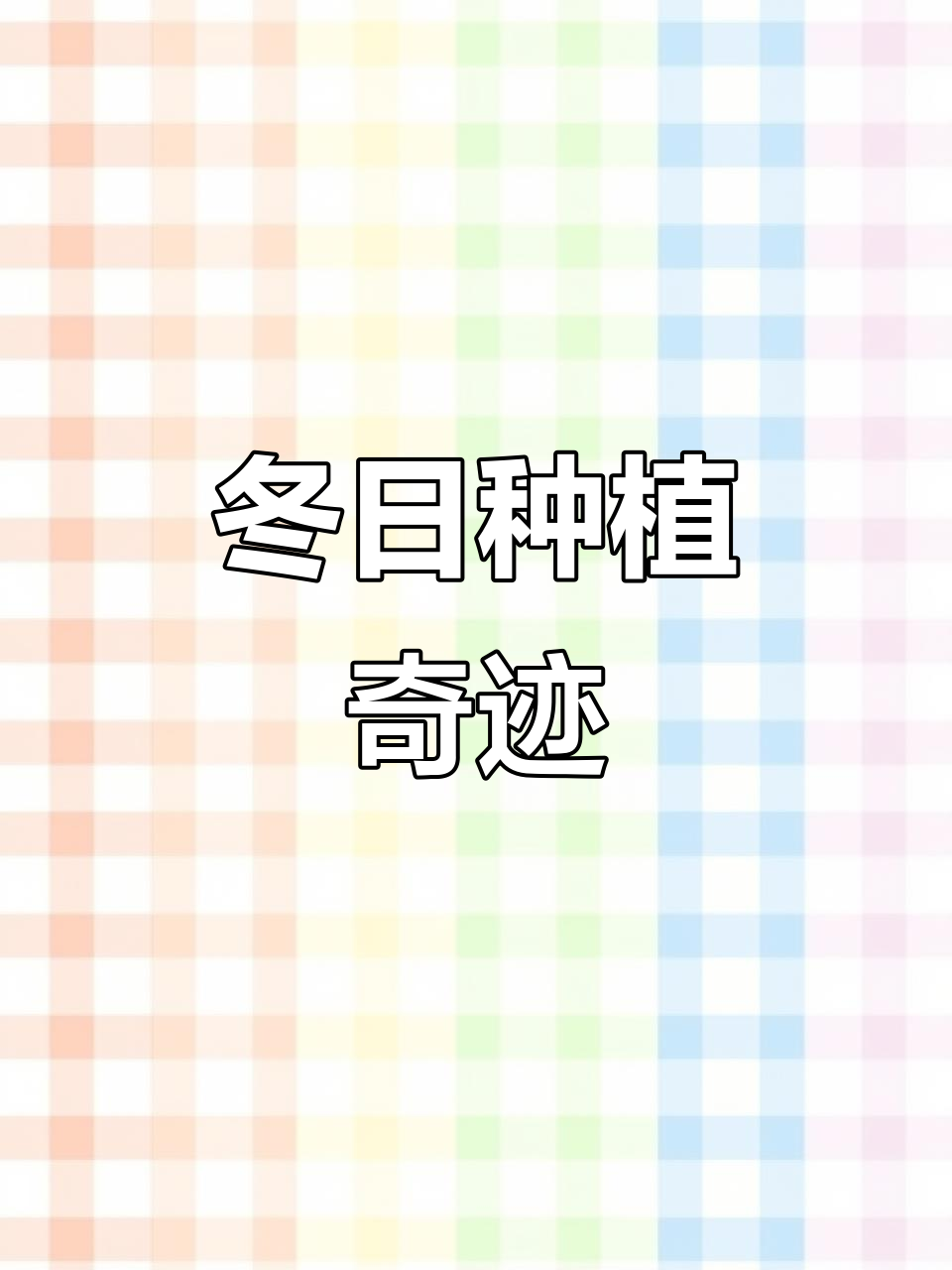 2026年1月8日看:冬季暖棚蔬菜茁壮,种菜新手惊喜连连
