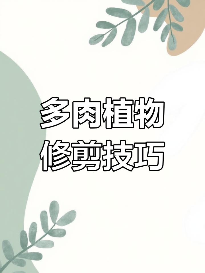 如何修剪多肉植物,打造完美造型