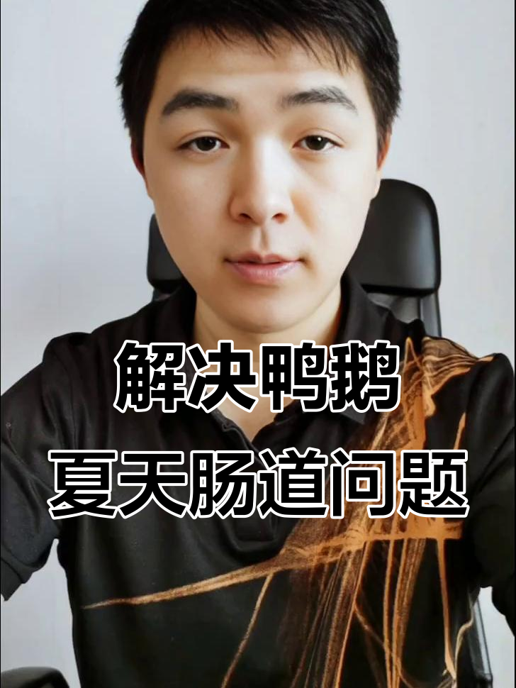 夏季高温,鸭鹅吃料少、拉稀怎么办?教你解决肠道问题
