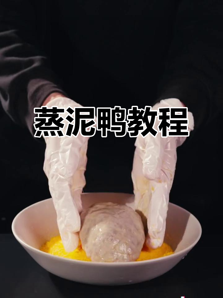 蒸泥鸭不好吃？顺网线来找我！