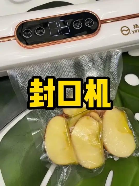 扬子真空封口机 都这个价了,真不用买杂牌了,过几天做牛肉干,风干肠,全用这个打包