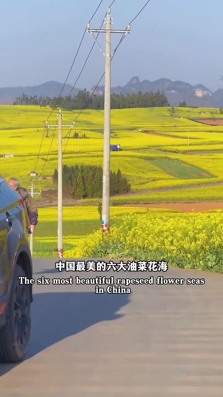 中国最美的六大油菜花海，错过就要再等一年