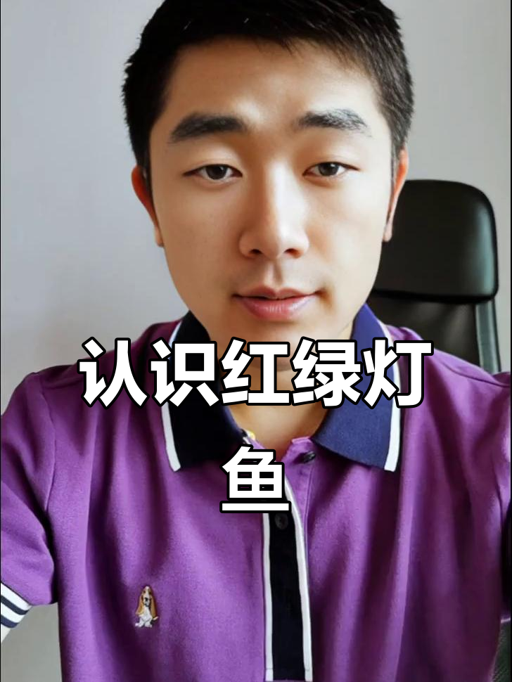 红绿灯鱼：小型热带观赏鱼的入门选择