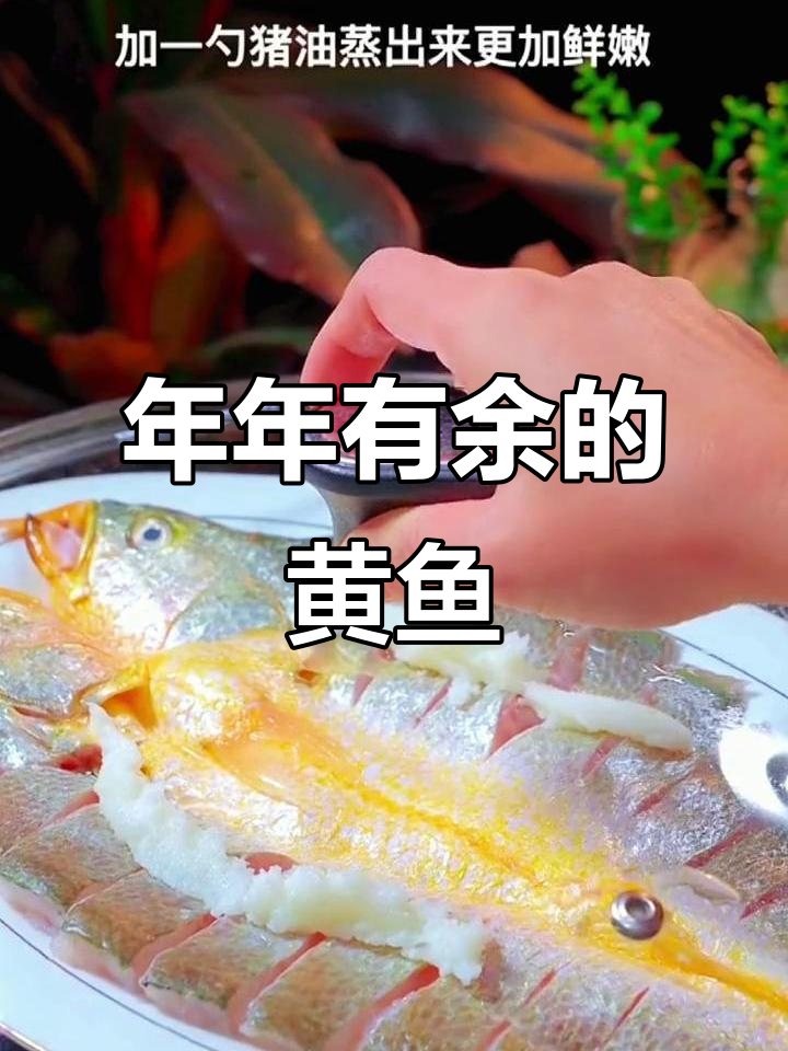 八元大黄鱼,蒸制鲜美,寓意年年有余