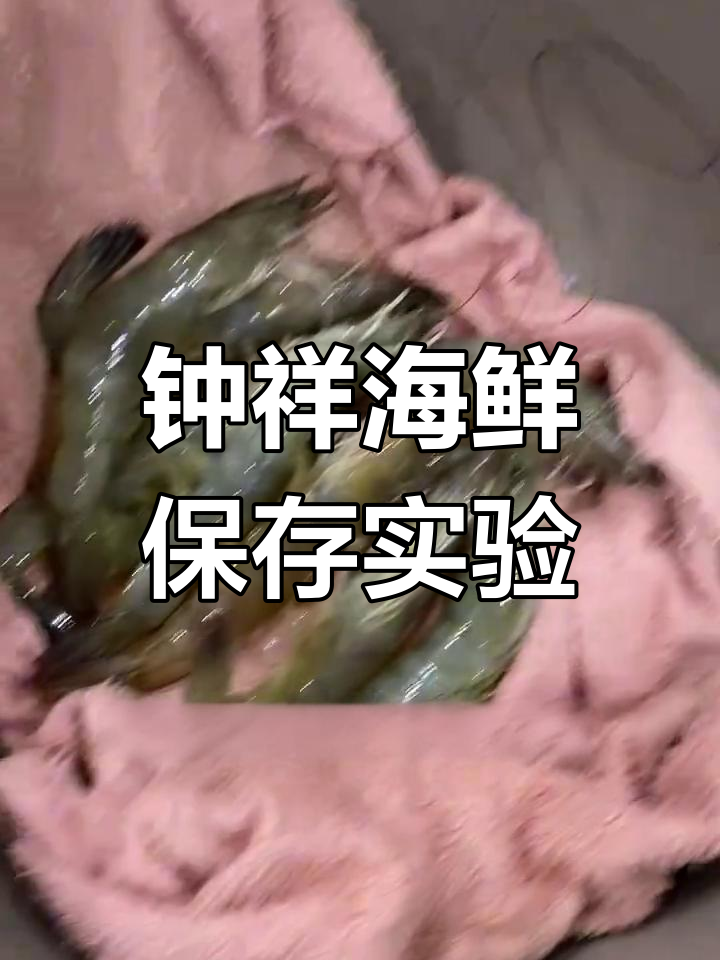 钟祥海鲜保鲜大比拼:三种方法哪种最有效?