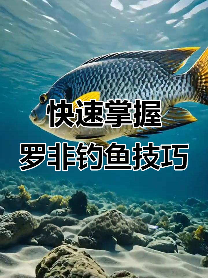 罗非鱼钓法全揭秘:三招轻松搞定浅水区