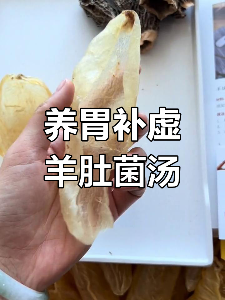 羊肚菌与鱼胶的滋补汤,适合脾胃虚弱的人