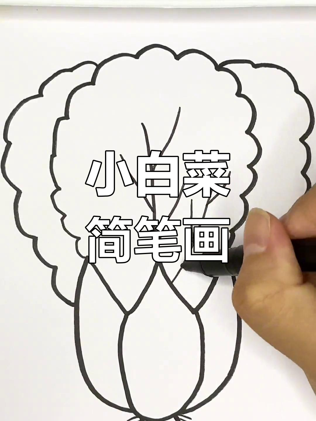 轻松学画小白菜,简笔画教程来啦