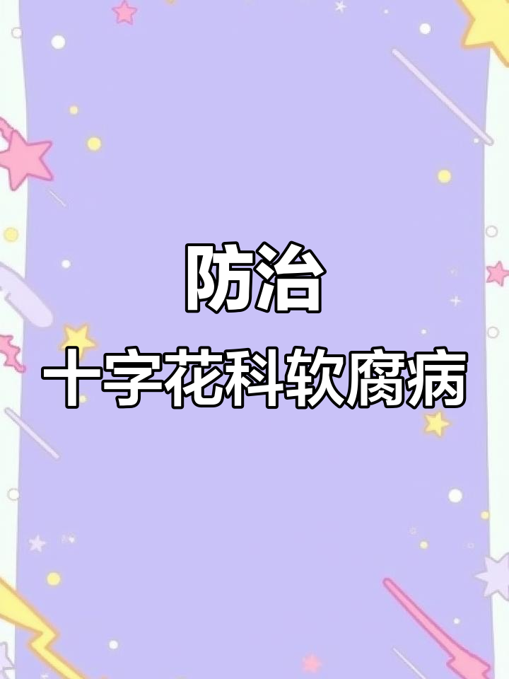十字花科蔬菜软腐病防治全攻略,轮作、抗病品种等技巧大公开