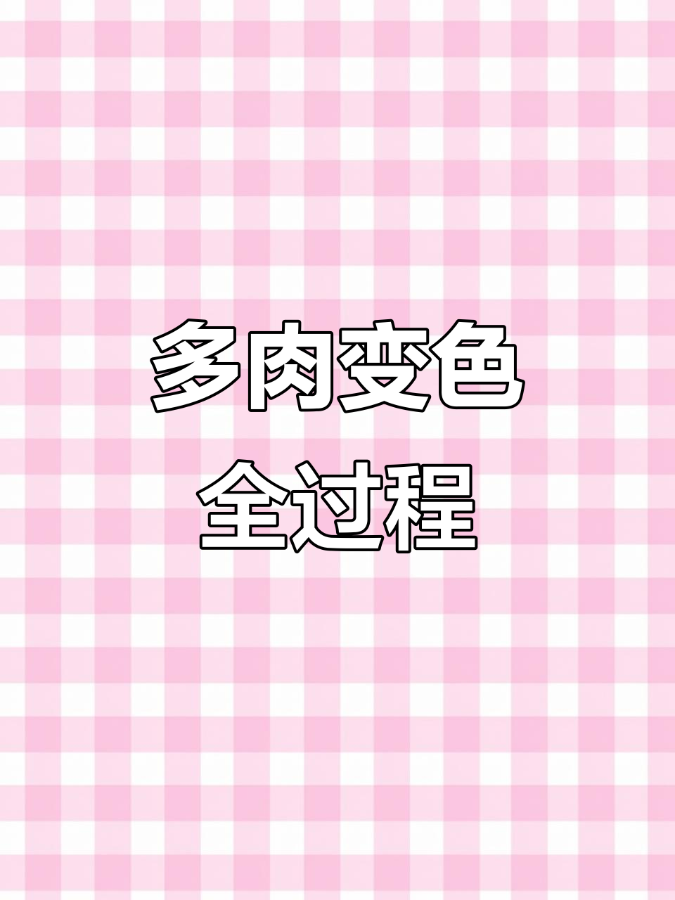 粉色多肉上色过程,六月中旬全粉!