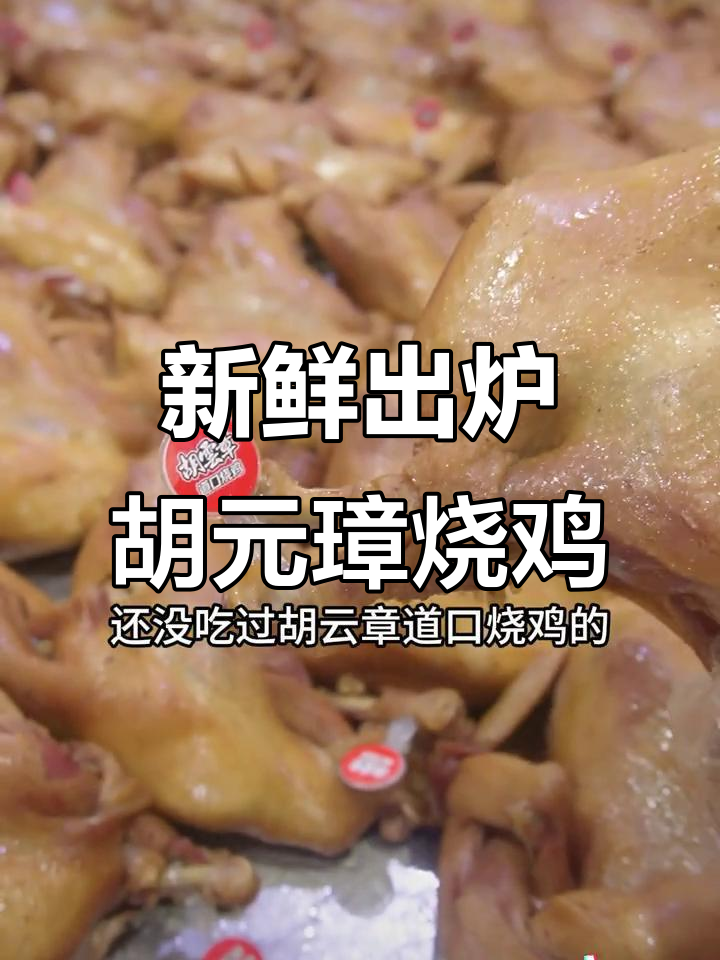 胡云章道口烧鸡:四百五十天老母鸡现杀,口感鲜美无比
