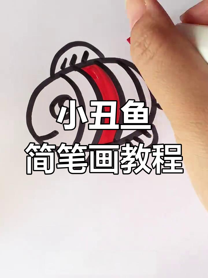 轻松画小丑鱼,椭圆和半圆搞定!