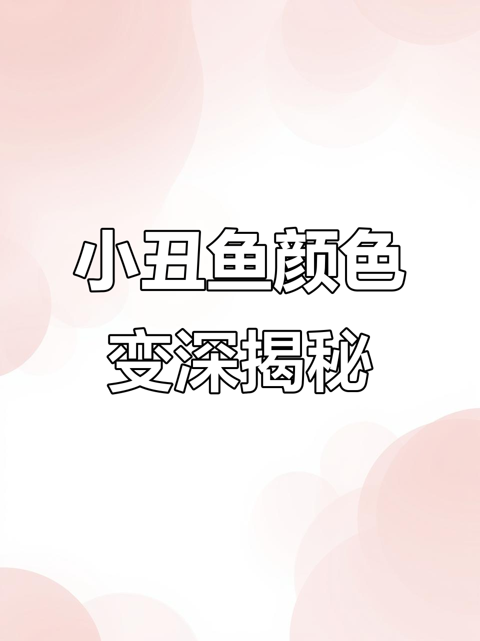 金透红与透红小丑鱼的成长变化,打架争地盘超有趣