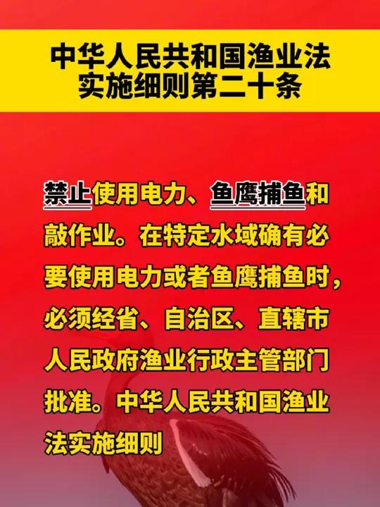 禁止鱼鹰捕鱼