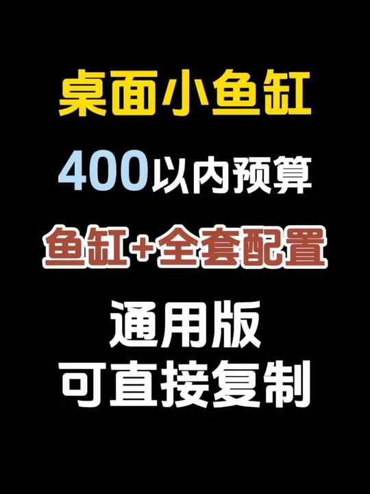 鱼缸搭配，40小鱼缸，小型鱼通用！400以内搞定！