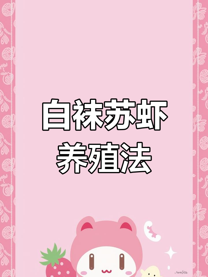 苏虾白袜饲养全攻略:设备与技巧大揭秘