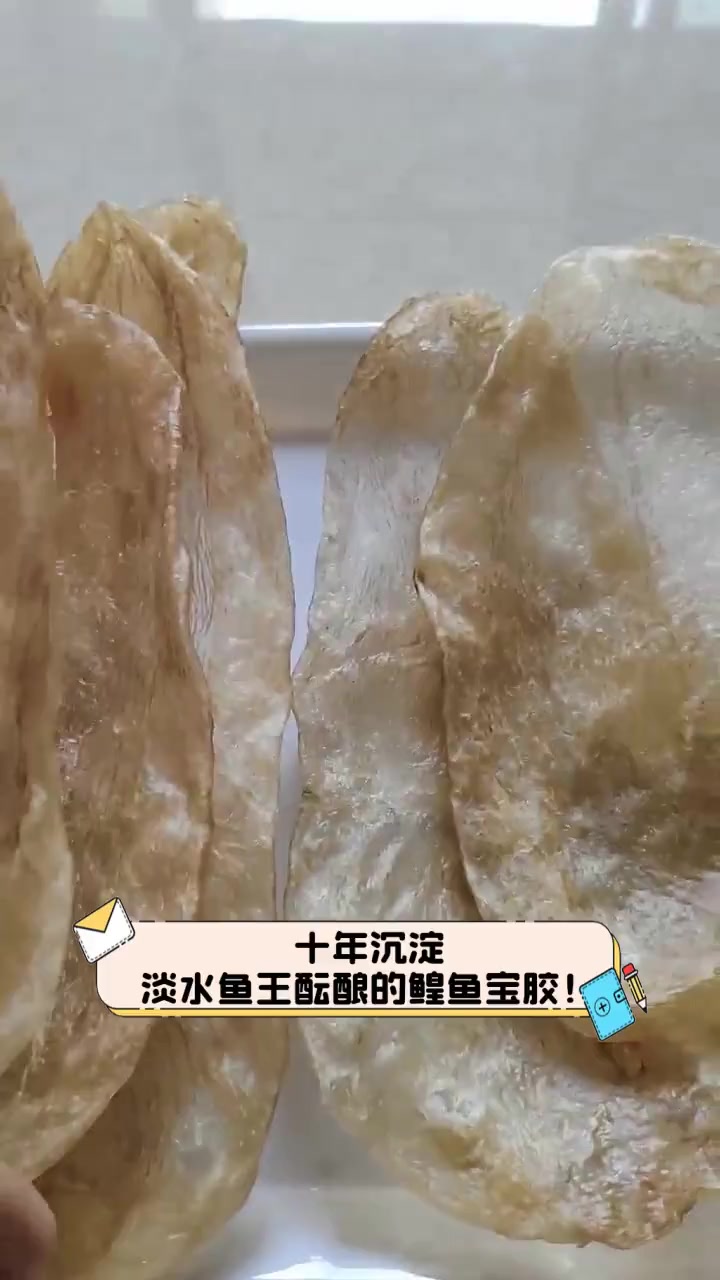 十年沉淀,淡水鱼王酝酿的鳇鱼宝胶!