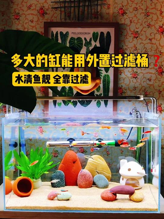 多大的鱼缸能用外置过滤桶