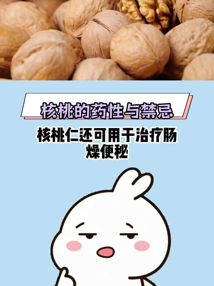 核桃仁的养生功效与注意事项