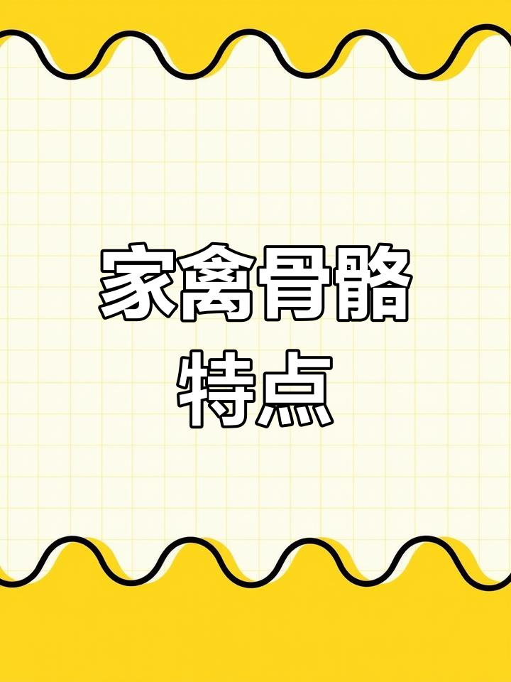 家禽骨骼结构解析,了解养鸡知识