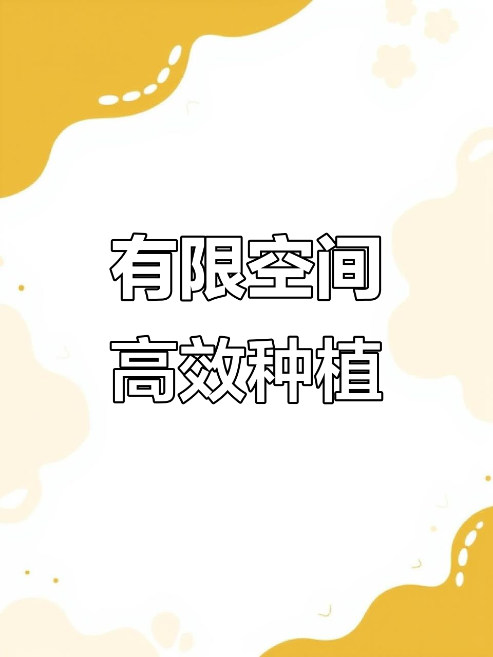 小空间也能种大菜园,立体水培让蔬菜翻倍