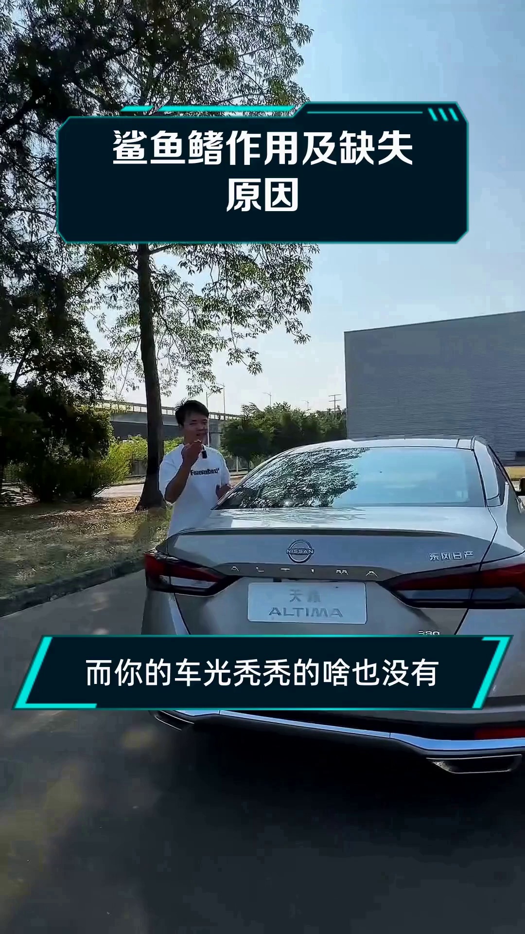 鲨鱼鳍作用及缺失原因