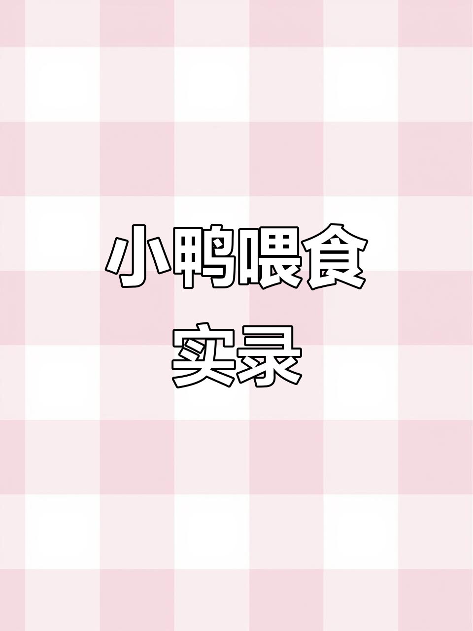 鸭苗孵化场日常:小鸭子吃开口料,超萌瞬间