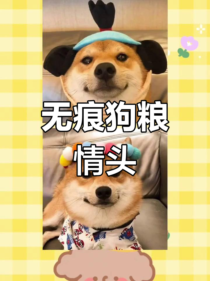 隐形狗粮情侣头像来袭