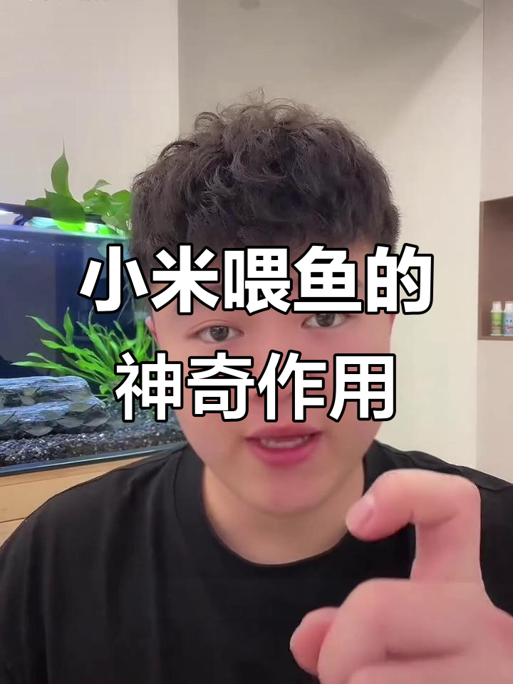 小米养鱼妙用,让你省钱又省心