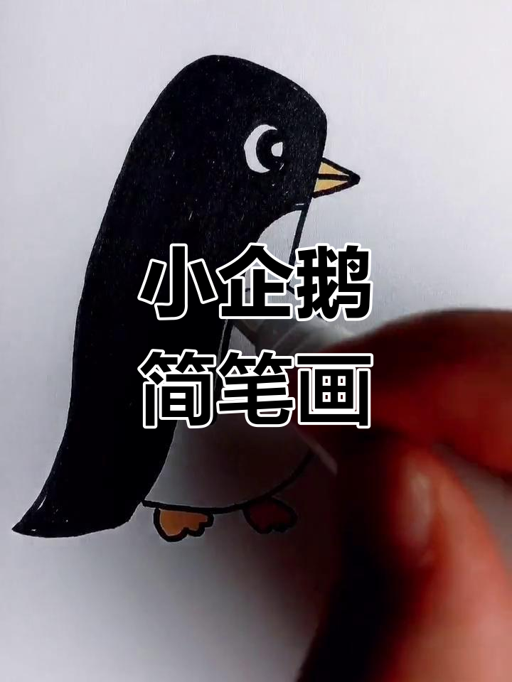 画个可爱小企鹅,简单又有趣!